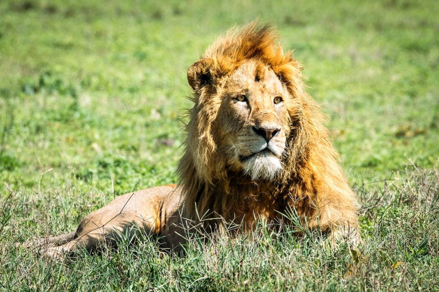 Travel Tips From Africa