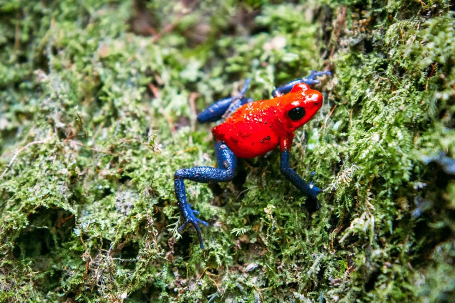 Costa Rica Travel Tips