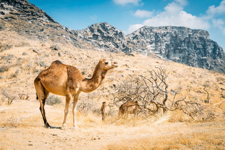 Middle East Travel Tips