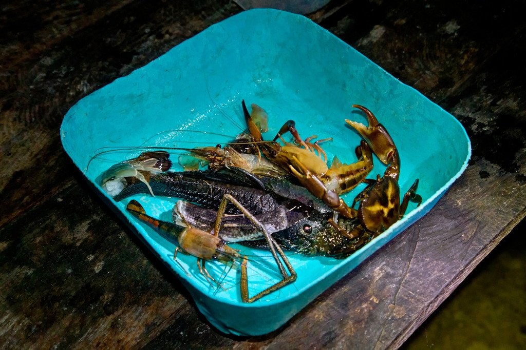 Fishing with a Machete Fishing Darien Gap