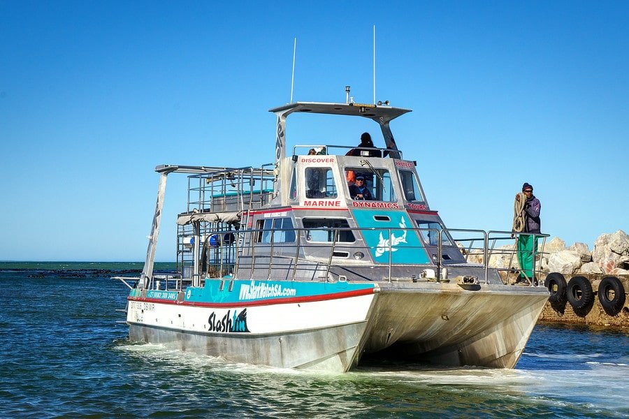 Shark Tour Boat South Africa