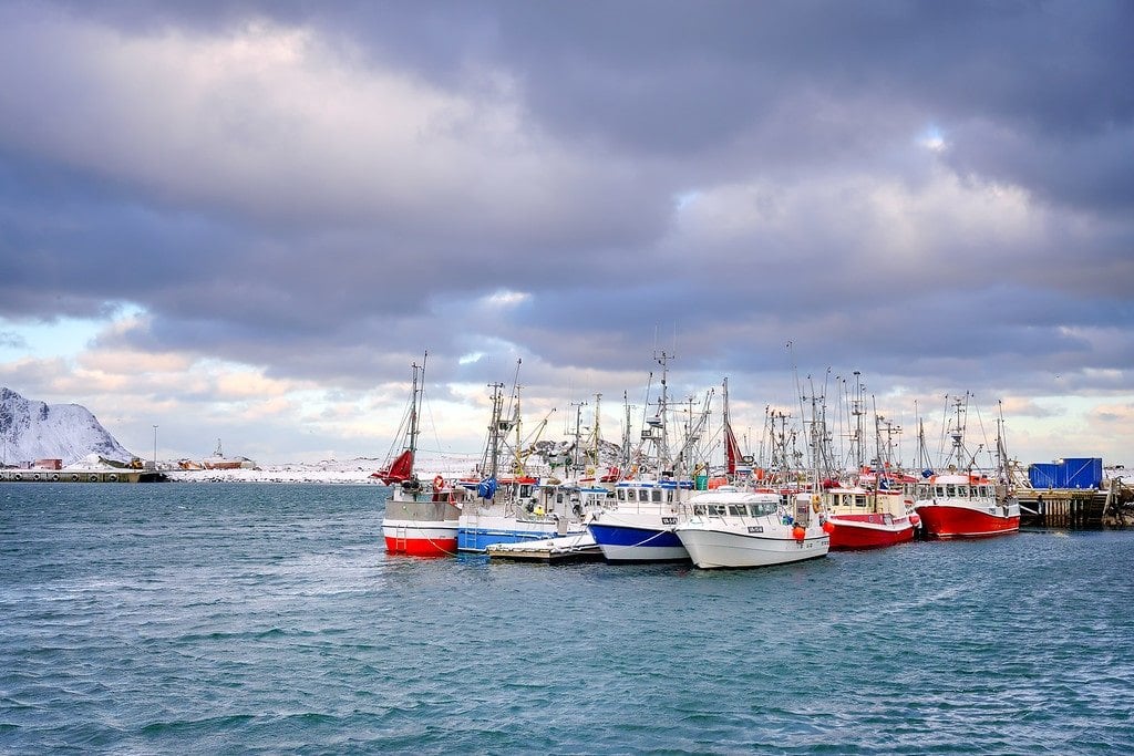 Fishing Community Lofoten Islands Fishing