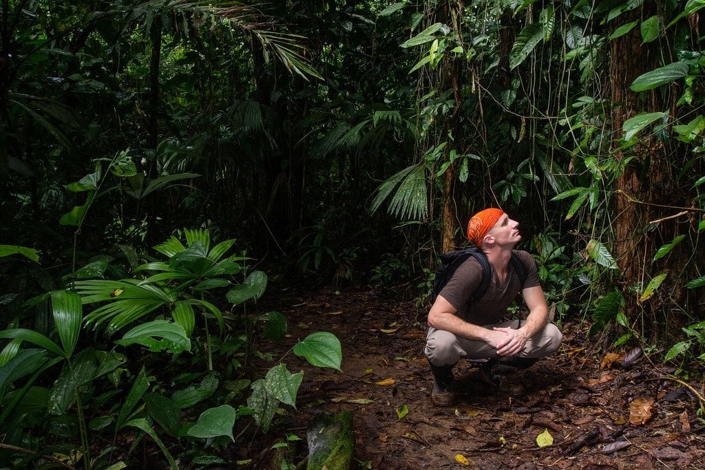 Abandoned Chocolate Farm in the Jungle Chocolate Farm in Costa Rica