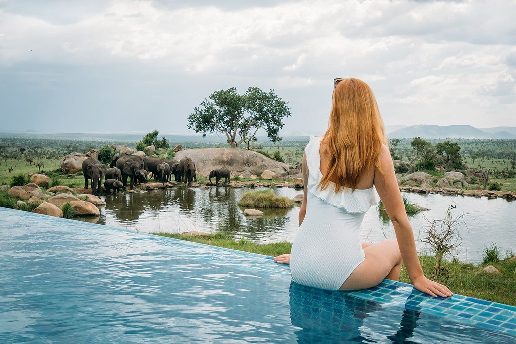 Elephants by the Pool Four Seasons Pool Elephants