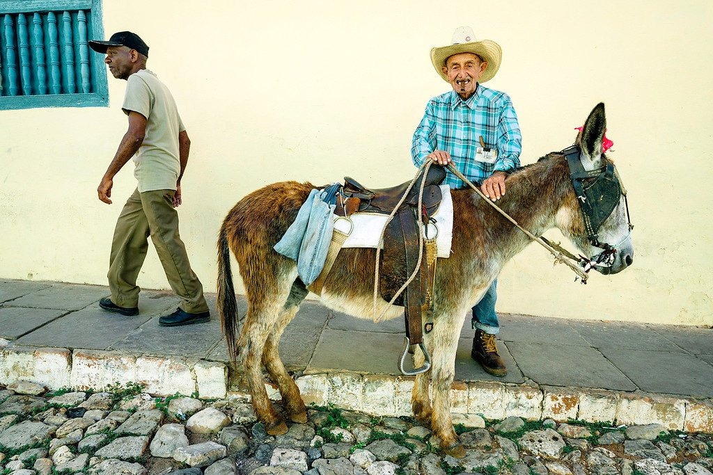 Trinidad's Famous Donkey Man Trinidad Donkey Man
